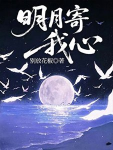 明月寄我心